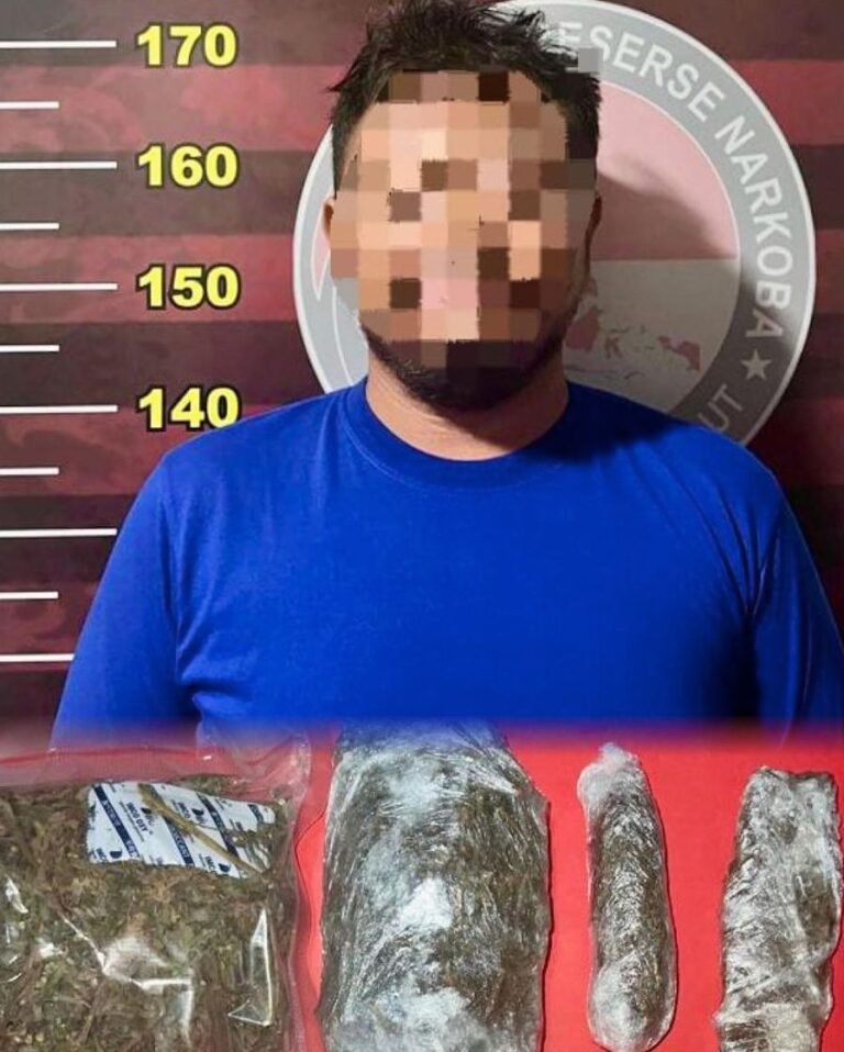 Lagi, Sat Resnarkoba Polres Tanah Laut Ungkap Peredaran Narkotika Jenis Ganja