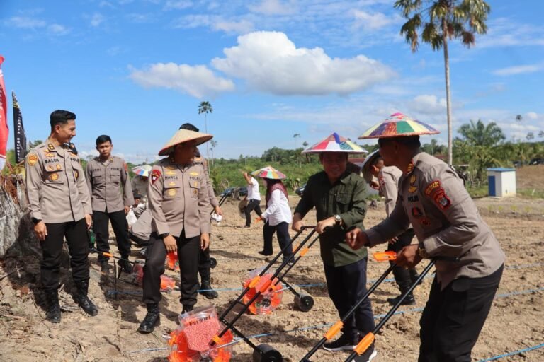 Polda Kaltara Bersama Polresta Bulungan Tanam Jagung Serentak Kuartal III di Desa Apung, Dukung Program 1 Juta Hektare Presiden
